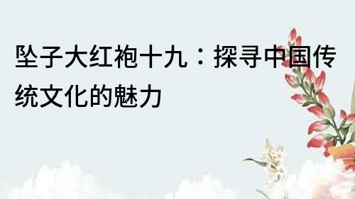墜子大紅袍十九：探尋中國傳統文化的魅力