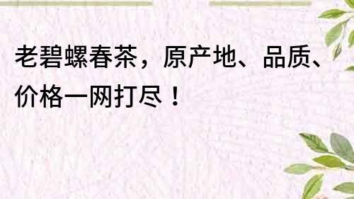 老碧螺春茶，原產(chǎn)地、品質(zhì)、價格一網(wǎng)打盡！