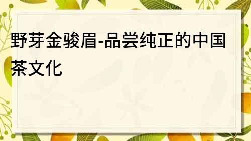 野芽金駿眉-品嘗純正的中國茶文化