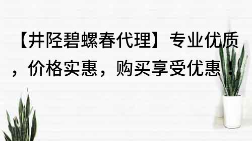 【井陘碧螺春代理】專業優質，價格實惠，購買享受優惠！