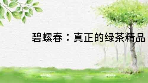 碧螺春：真正的綠茶精品