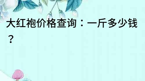 大紅袍價格查詢：一斤多少錢？
