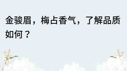 金駿眉，梅占香氣，了解品質如何？