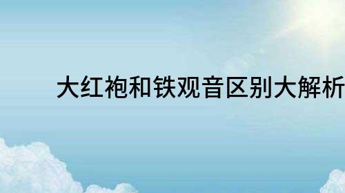大紅袍和鐵觀音區別大解析！