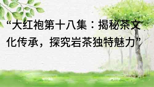 “大紅袍第十八集：揭秘茶文化傳承，探究巖茶獨特魅力”