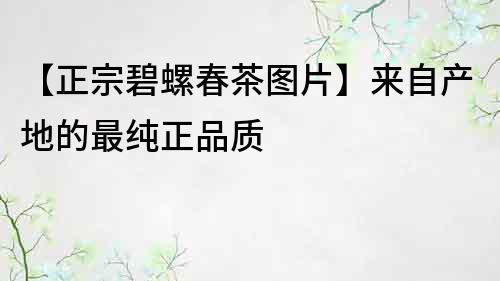 【正宗碧螺春茶圖片】來自產(chǎn)地的最純正品質(zhì)