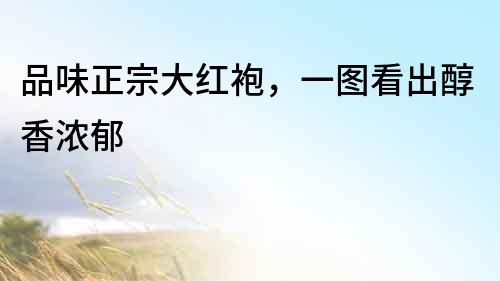 品味正宗大紅袍，一圖看出醇香濃郁