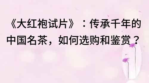 《大紅袍試片》：傳承千年的中國名茶，如何選購和鑒賞？