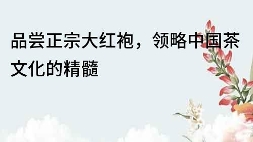 品嘗正宗大紅袍，領略中國茶文化的精髓