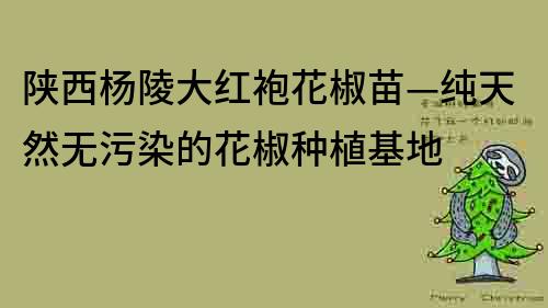 陜西楊陵大紅袍花椒苗—純天然無污染的花椒種植基地