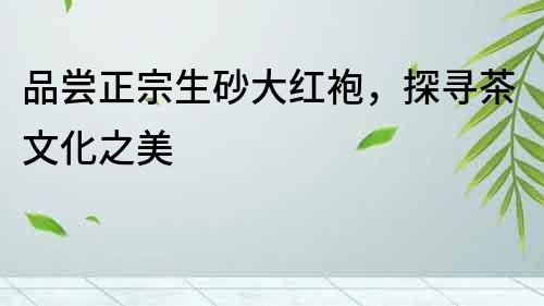 品嘗正宗生砂大紅袍，探尋茶文化之美