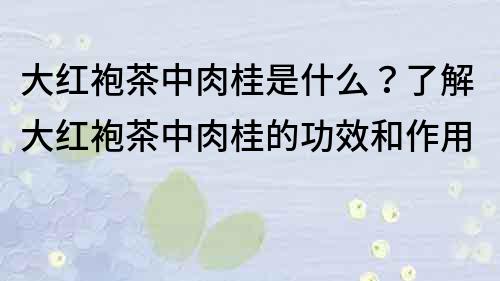 大紅袍茶中肉桂是什么？了解大紅袍茶中肉桂的功效和作用