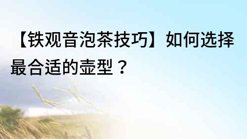 【鐵觀音泡茶技巧】如何選擇最合適的壺型？