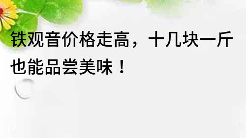 鐵觀音價格走高，十幾塊一斤也能品嘗美味！