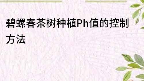 碧螺春茶樹種植Ph值的控制方法