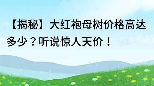【揭秘】大紅袍母樹價格高達多少？聽說驚人天價！