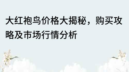 大紅袍鳥價格大揭秘，購買攻略及市場行情分析