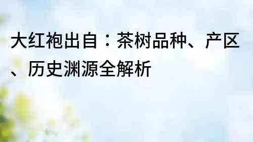 大紅袍出自：茶樹(shù)品種、產(chǎn)區(qū)、歷史淵源全解析
