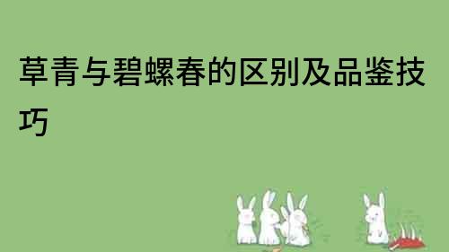 草青與碧螺春的區別及品鑒技巧