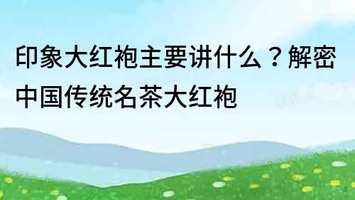 印象大紅袍主要講什么？解密中國傳統名茶大紅袍