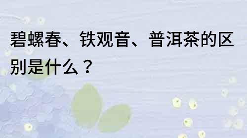 碧螺春、鐵觀音、普洱茶的區別是什么？