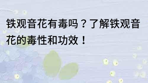 鐵觀音花有毒嗎？了解鐵觀音花的毒性和功效！