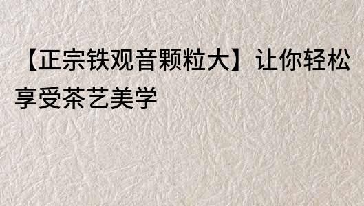 【正宗鐵觀音顆粒大】讓你輕松享受茶藝美學
