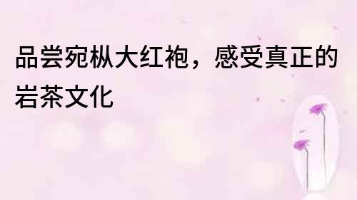 品嘗宛樅大紅袍，感受真正的巖茶文化