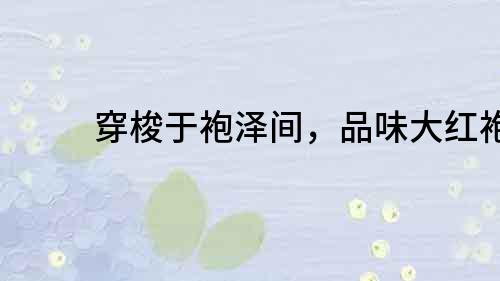穿梭于袍澤間，品味大紅袍