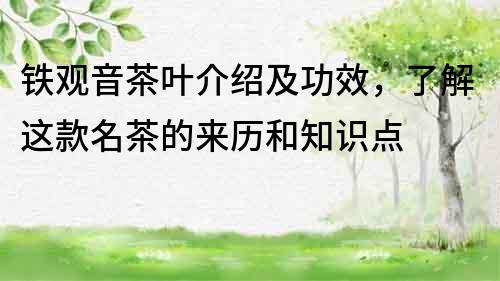 鐵觀音茶葉介紹及功效，了解這款名茶的來歷和知識點