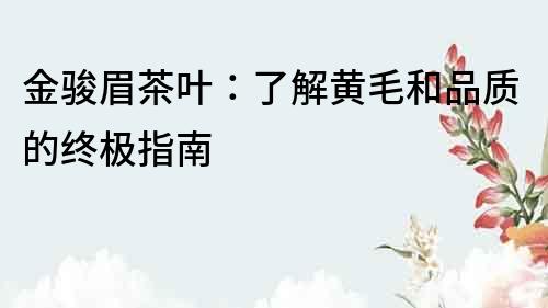 金駿眉茶葉：了解黃毛和品質(zhì)的終極指南