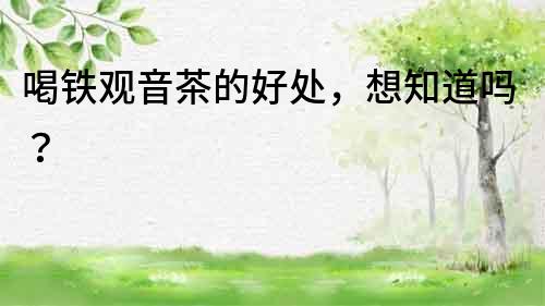 喝鐵觀音茶的好處，想知道嗎？
