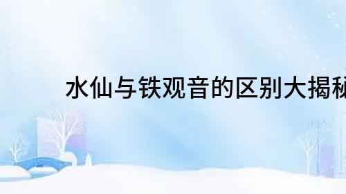 水仙與鐵觀音的區別大揭秘