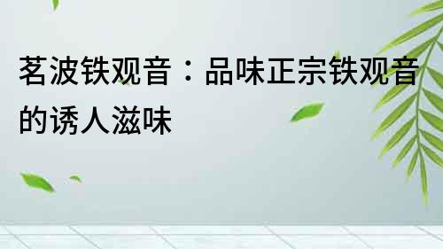 茗波鐵觀音：品味正宗鐵觀音的誘人滋味