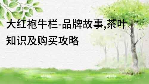大紅袍牛欄-品牌故事,茶葉知識及購買攻略