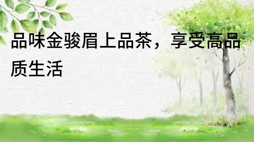 品味金駿眉上品茶，享受高品質生活