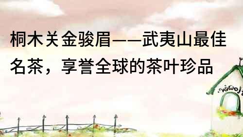 桐木關金駿眉——武夷山最佳名茶，享譽全球的茶葉珍品