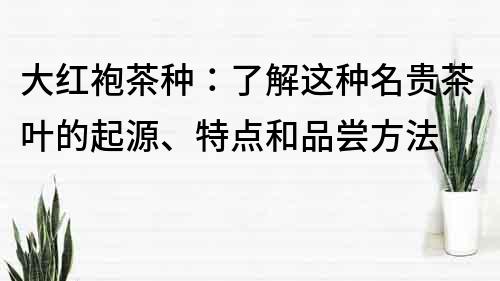 大紅袍茶種：了解這種名貴茶葉的起源、特點(diǎn)和品嘗方法