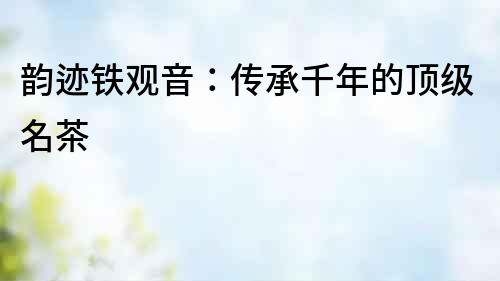 韻跡鐵觀音：傳承千年的頂級(jí)名茶