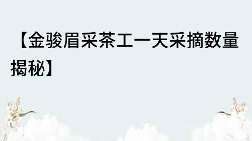 【金駿眉采茶工一天采摘數量揭秘】