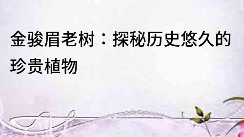 金駿眉老樹：探秘歷史悠久的珍貴植物