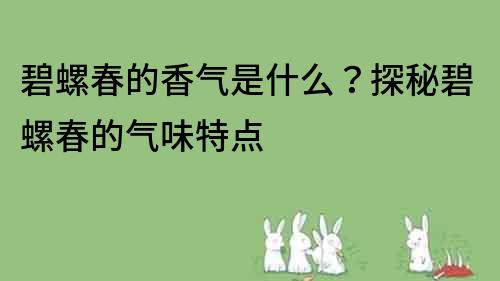 碧螺春的香氣是什么？探秘碧螺春的氣味特點(diǎn)