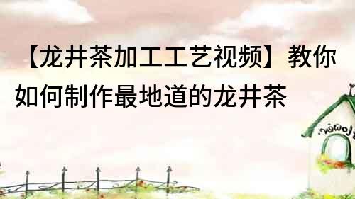 【龍井茶加工工藝視頻】教你如何制作最地道的龍井茶