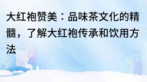 大紅袍贊美：品味茶文化的精髓，了解大紅袍傳承和飲用方法