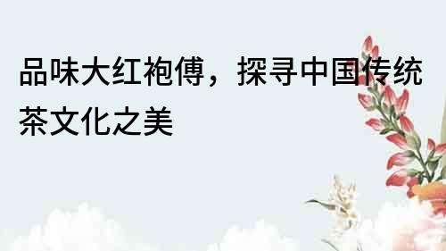 品味大紅袍傅，探尋中國傳統(tǒng)茶文化之美