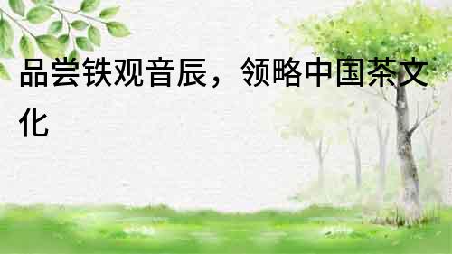 品嘗鐵觀音辰，領略中國茶文化