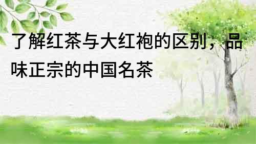 了解紅茶與大紅袍的區別，品味正宗的中國名茶