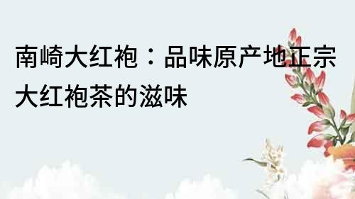 南崎大紅袍：品味原產地正宗大紅袍茶的滋味