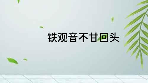 鐵觀音不甘回頭