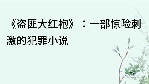 《盜匪大紅袍》：一部驚險刺激的犯罪小說
